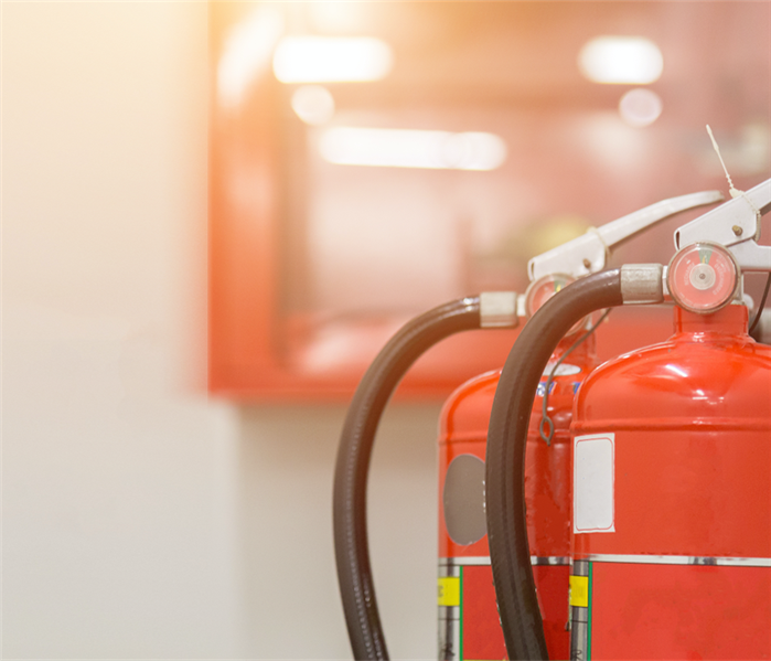 Image of fire extinguishers posed together